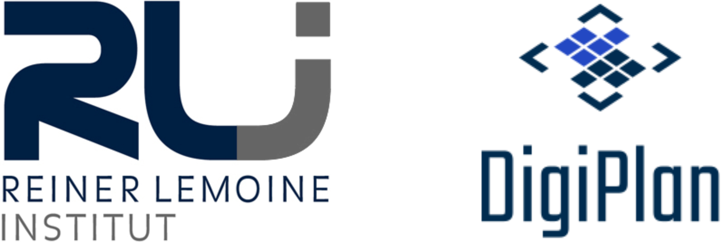 Logo des Reiner Lemoine Instituts